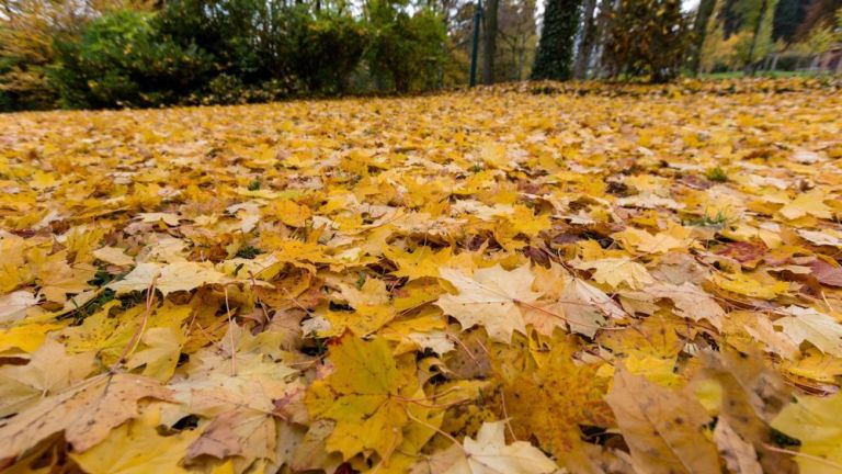 Ez történik ma, az ősz első napján