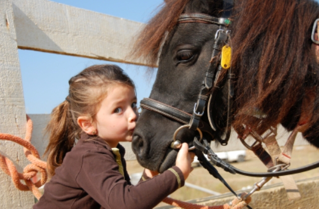 Művészet - és állatterápia: milyen gyerekeknél hatásosak ezek a gyógymódok?