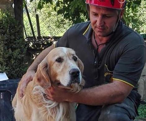 Olaszországi földrengés: 9 nap után kutyát mentettek ki a romok közül 