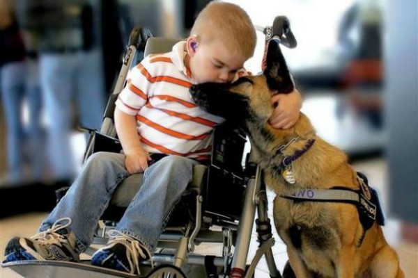 10 lecke, amit a kutyáktól tanítanak nekünk az életről