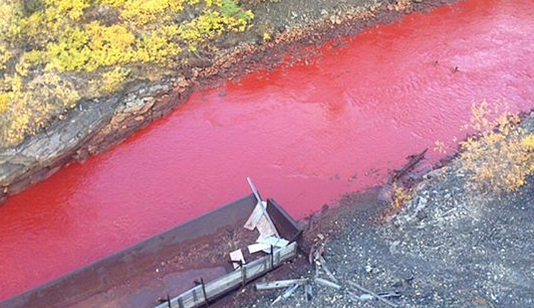 forrás: theguardian.com