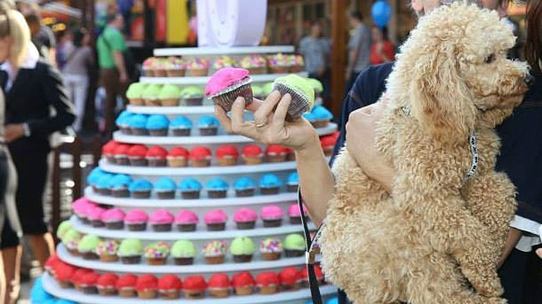 Izgalmas programok és akár 90%-os kedvezmények a Premier Outlet születésnapi buliján! Izgalmas programok és akár 90%-os kedvezmények a Premier Outlet születésnapi buliján!