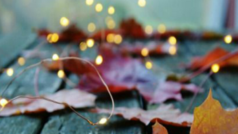 Napi horoszkóp: négy elem szerelmi horoszkóp – 2016. 09. 20.