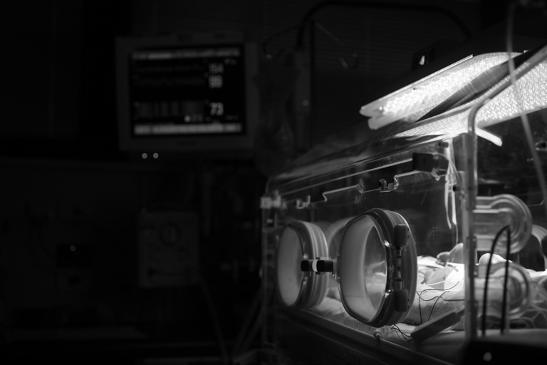 Fotó: Getty Images/Jennifer Polixenni Brankin