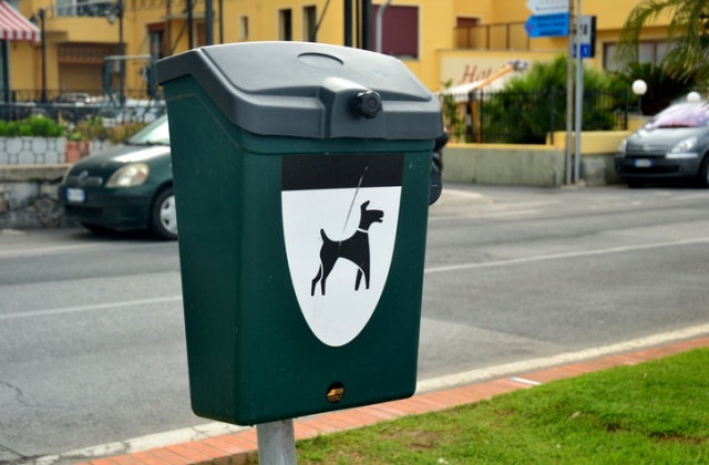 Lopják a zacskókat a kutyavécékből