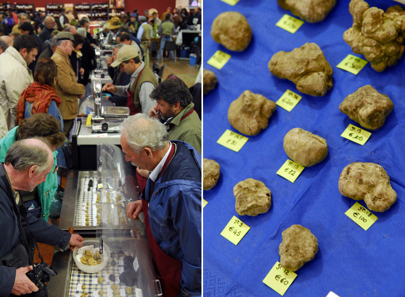Szarvasgomba piac Alba városban (Fotó: Patrick Piel/Getty Images)