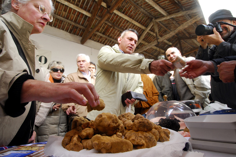 Szarvasgomba kereskedők (Fotó: Patrick Piel/Getty Images)