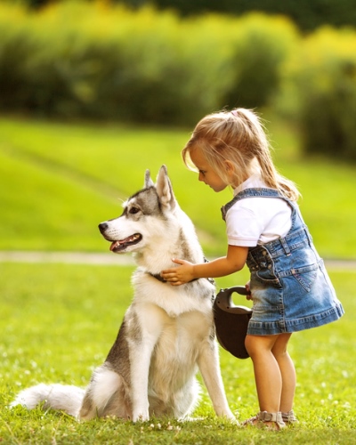 A fotó illusztráció!