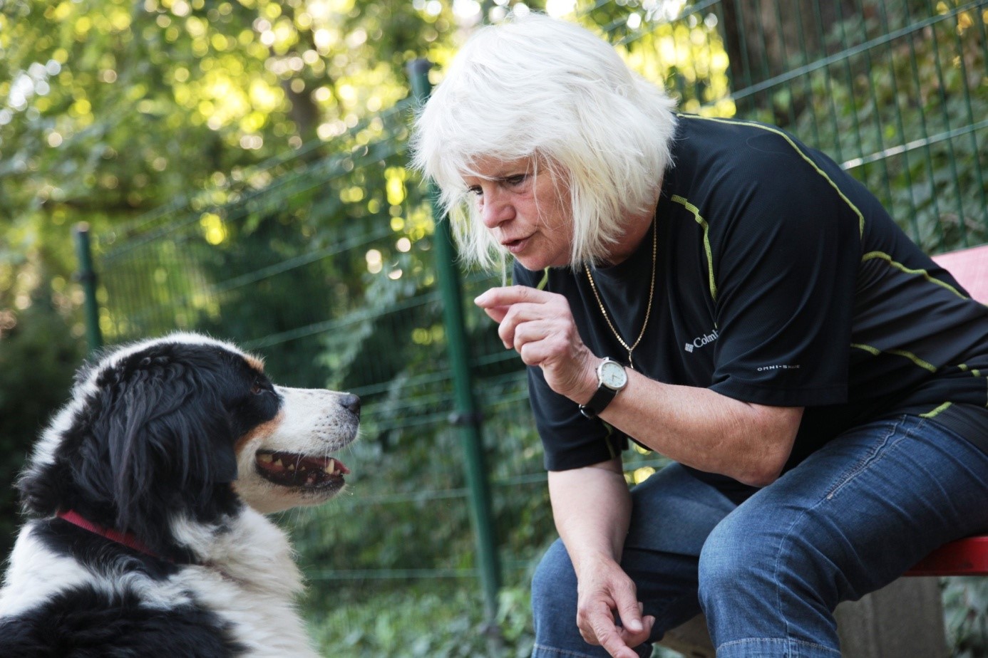 Idősnek lenni jó Idősnek lenni jó