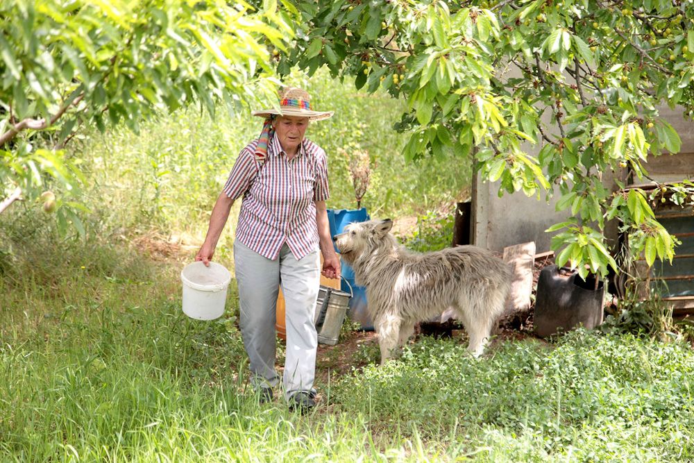 Idősnek lenni jó Idősnek lenni jó