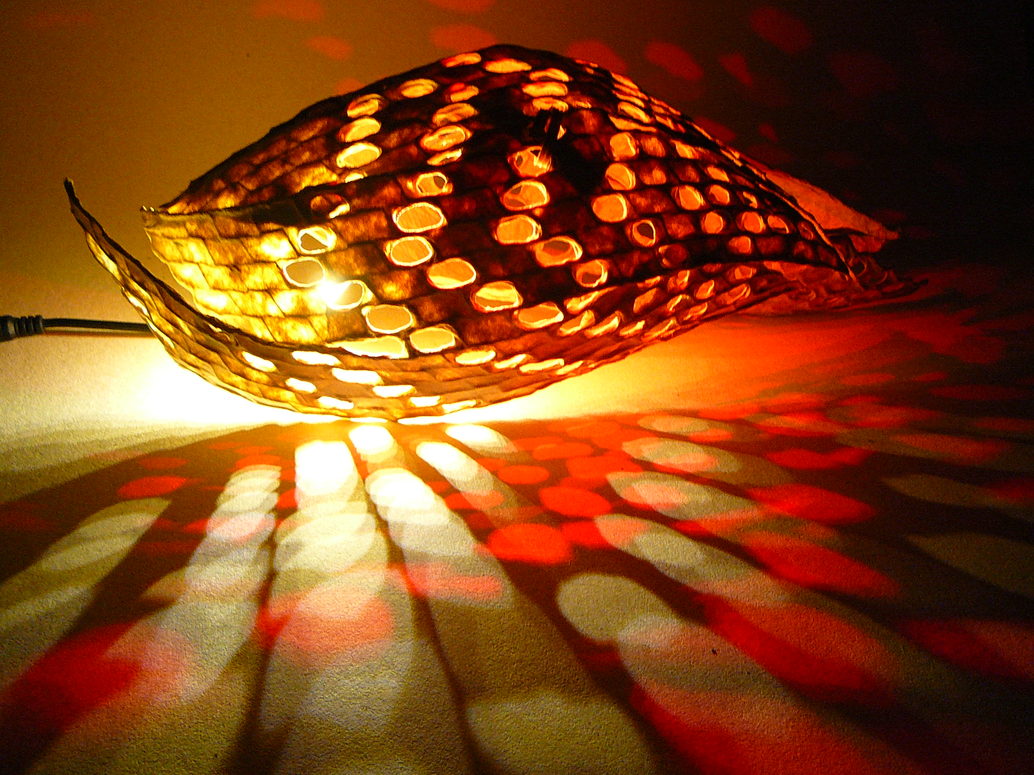 Csigalámpákba kevert csodafények – Ismerd Búza Krisztina különleges lámpáit Csigalámpákba kevert csodafények – Ismerd Búza Krisztina különleges lámpáit