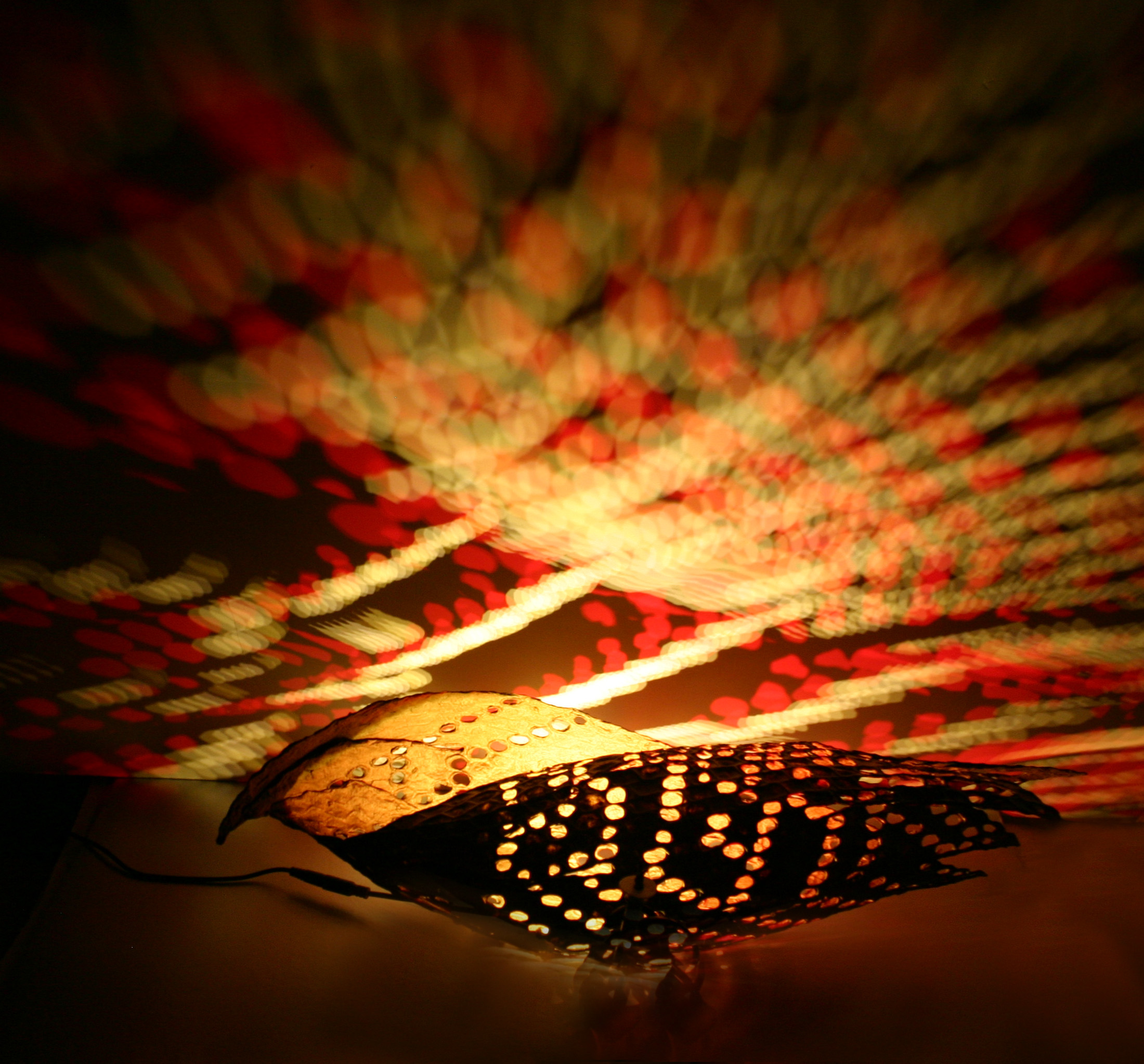 Csigalámpákba kevert csodafények – Ismerd Búza Krisztina különleges lámpáit Csigalámpákba kevert csodafények – Ismerd Búza Krisztina különleges lámpáit