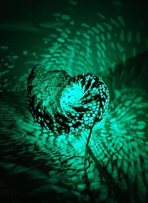 Csigalámpákba kevert csodafények – Ismerd Búza Krisztina különleges lámpáit Csigalámpákba kevert csodafények – Ismerd Búza Krisztina különleges lámpáit