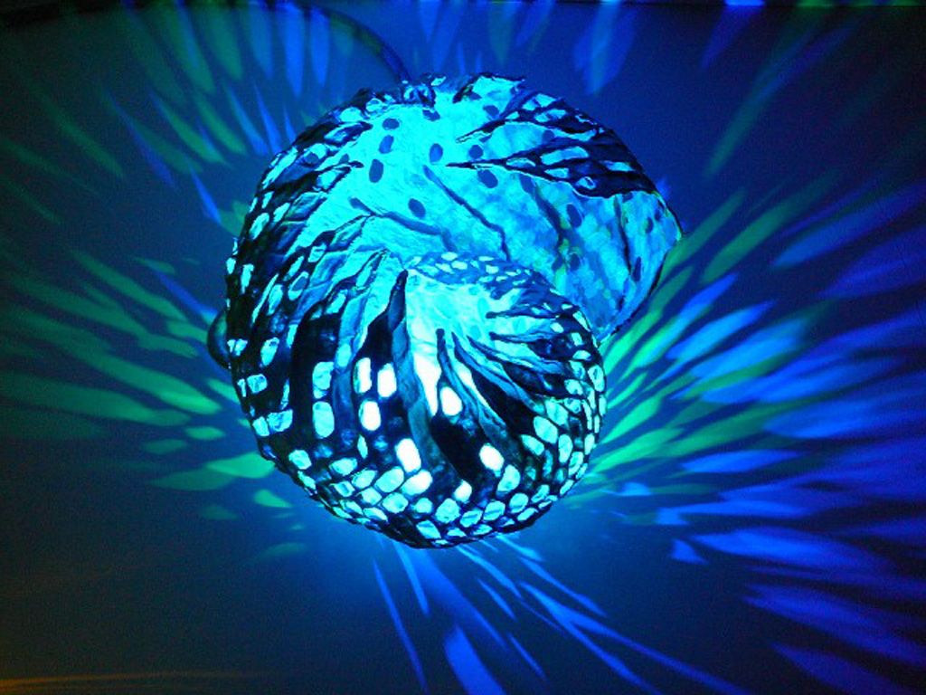 Csigalámpákba kevert csodafények – Ismerd Búza Krisztina különleges lámpáit Csigalámpákba kevert csodafények – Ismerd Búza Krisztina különleges lámpáit