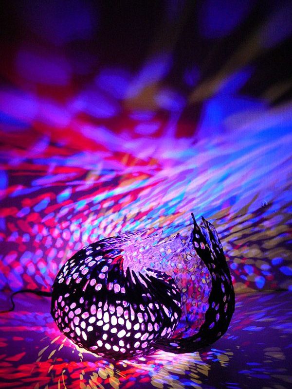 Csigalámpákba kevert csodafények – Ismerd Búza Krisztina különleges lámpáit Csigalámpákba kevert csodafények – Ismerd Búza Krisztina különleges lámpáit