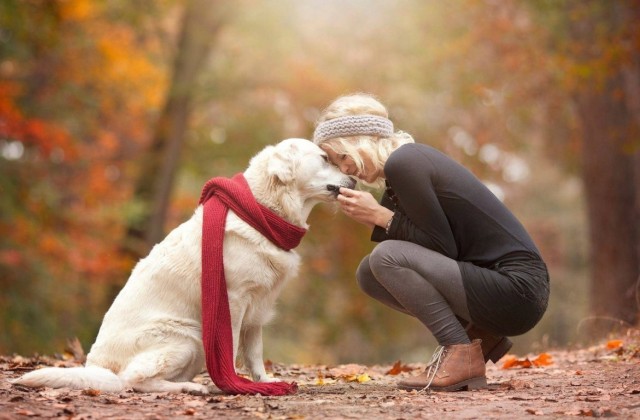 Házi kedvencek, a lélek gyógyítói - 3 különleges érv az állattartás mellet