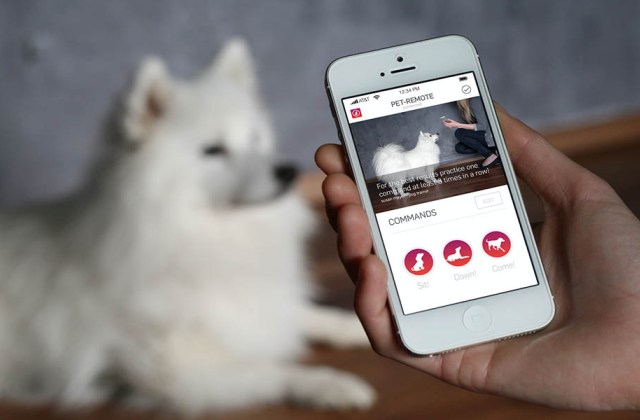 5 hasznos okostelefon alkalmazás gazdiknak 5 hasznos okostelefon alkalmazás gazdiknak