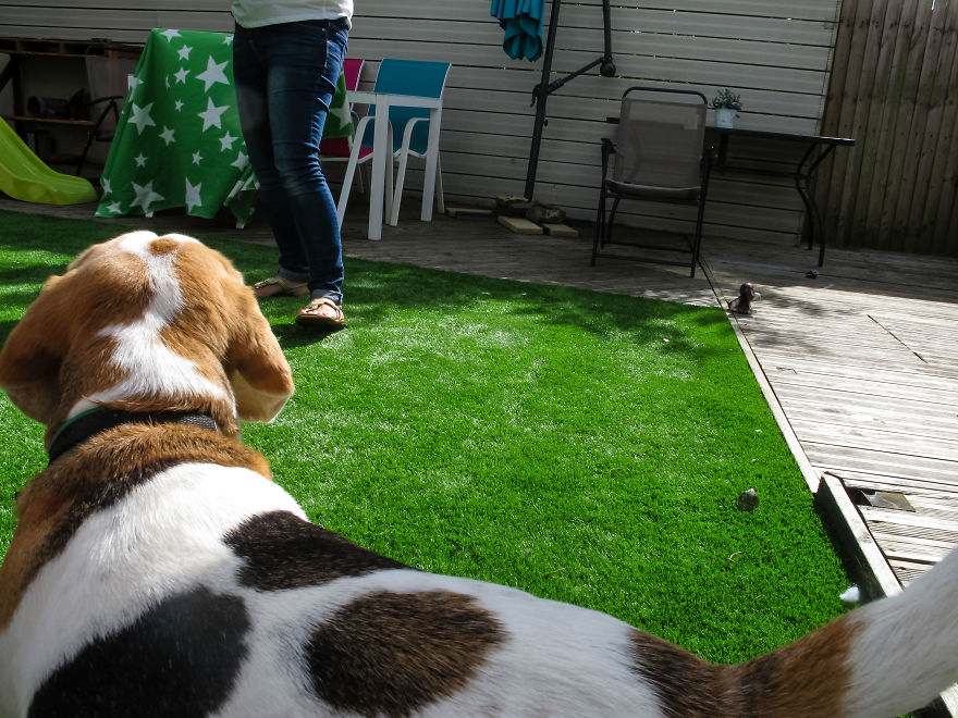 A kisfiú megkapta apukája fényképezőgépét - ezek a képek készültek