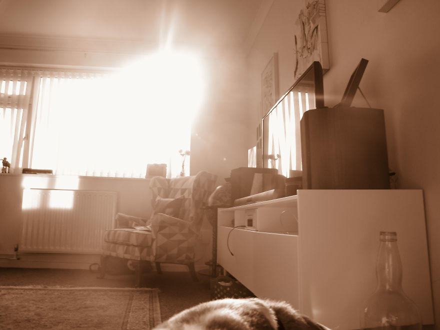 A kisfiú megkapta apukája fényképezőgépét - ezek a képek készültek