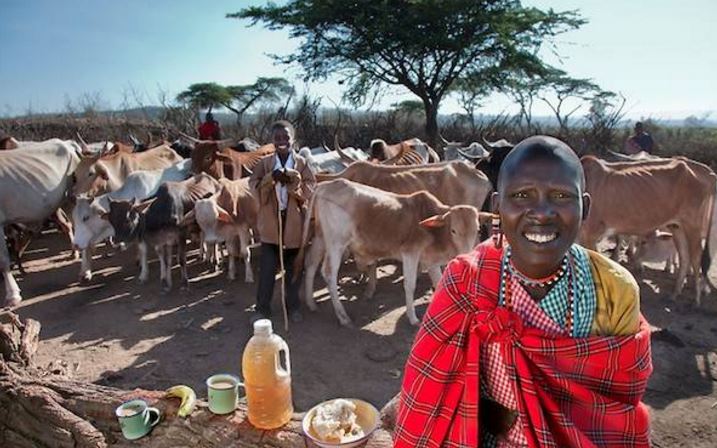 Elképesztő képek: ezt eszik a világ különböző országaiban egy nap alatt Elképesztő képek: ezt eszik a világ különböző országaiban egy nap alatt