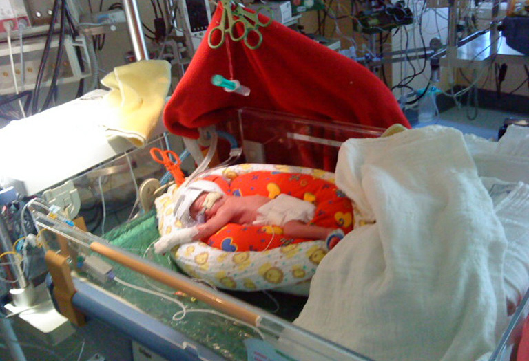 Lóri a nyitott inkubátorban, Bécsben