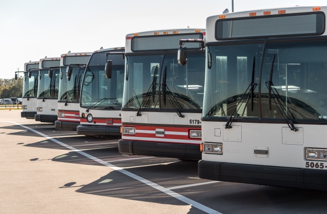 Buszt lopott a 20 éves fiú, hogy elköltözhessen otthonról