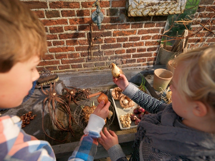 Őszi virághagymák ültetése gyerekekkel Őszi virághagymák ültetése gyerekekkel