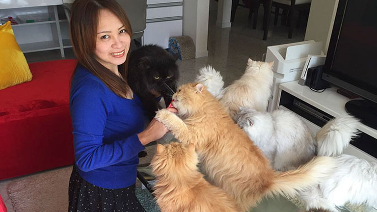 12 cicával él az igazi macskás nő