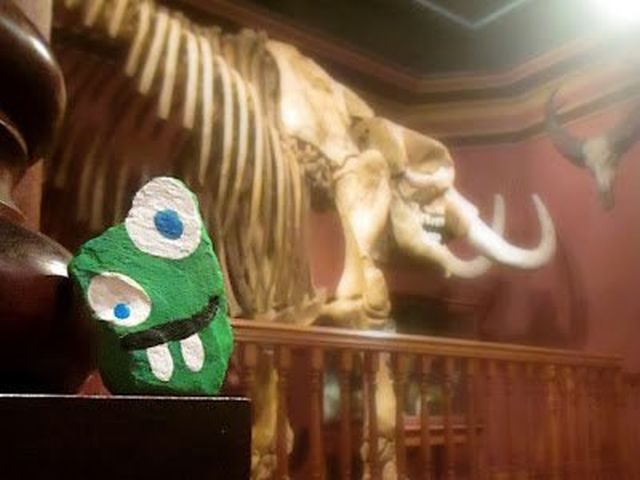 Az apa és hat gyermeke egy éven át 1000 követ festett be egy játék kedvéért Az apa és hat gyermeke egy éven át 1000 követ festett be egy játék kedvéért