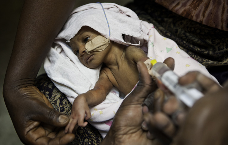 Fotó: Andrew Aitchison/Corbis