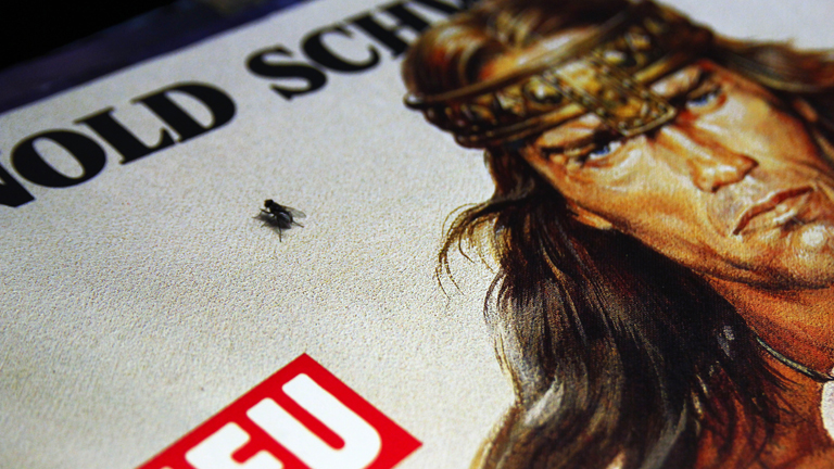 A légy igazi, Schwarzenegger festmény (Fotó: Badits Marcell/Plakátfiú)