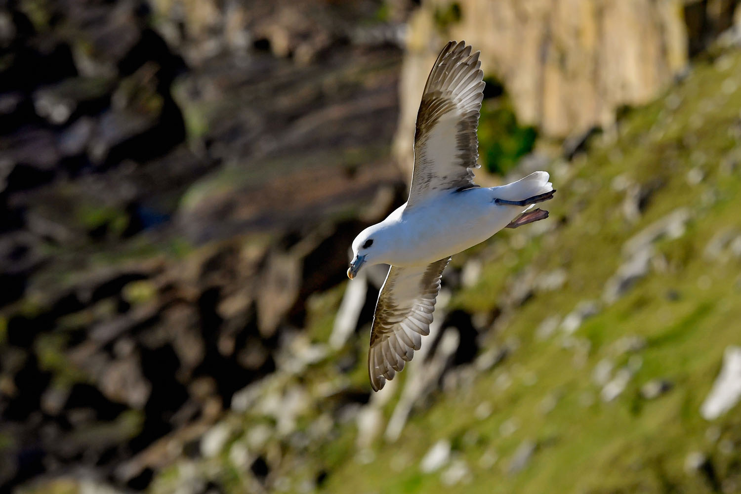 Mindössze harmincan lakják ezt a mesés kis skót szigetet - fotók Mindössze harmincan lakják ezt a mesés kis skót szigetet - fotók