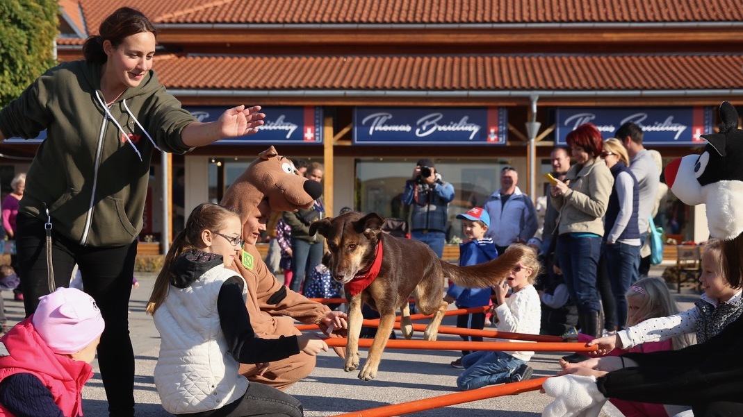 Felelős állattartásról és vásárlási maratonról szólt a hétvége a Premier Outletben