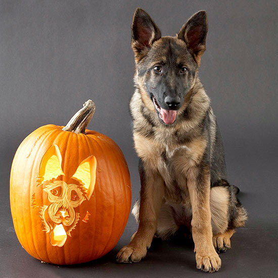 9 jópofa tökfaragási ötlet, amit idén ősszel nem hagyhatsz ki