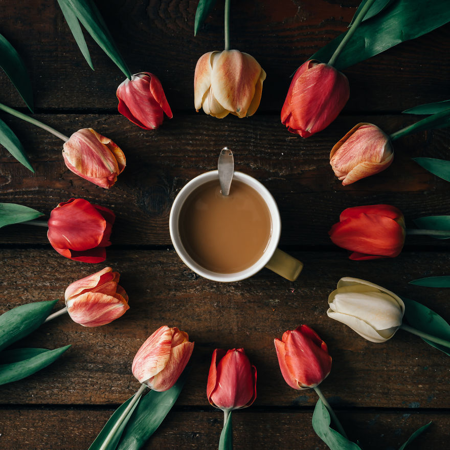 Mesés minimalista művészet csodaszép növényekből - fotók Mesés minimalista művészet csodaszép növényekből - fotók