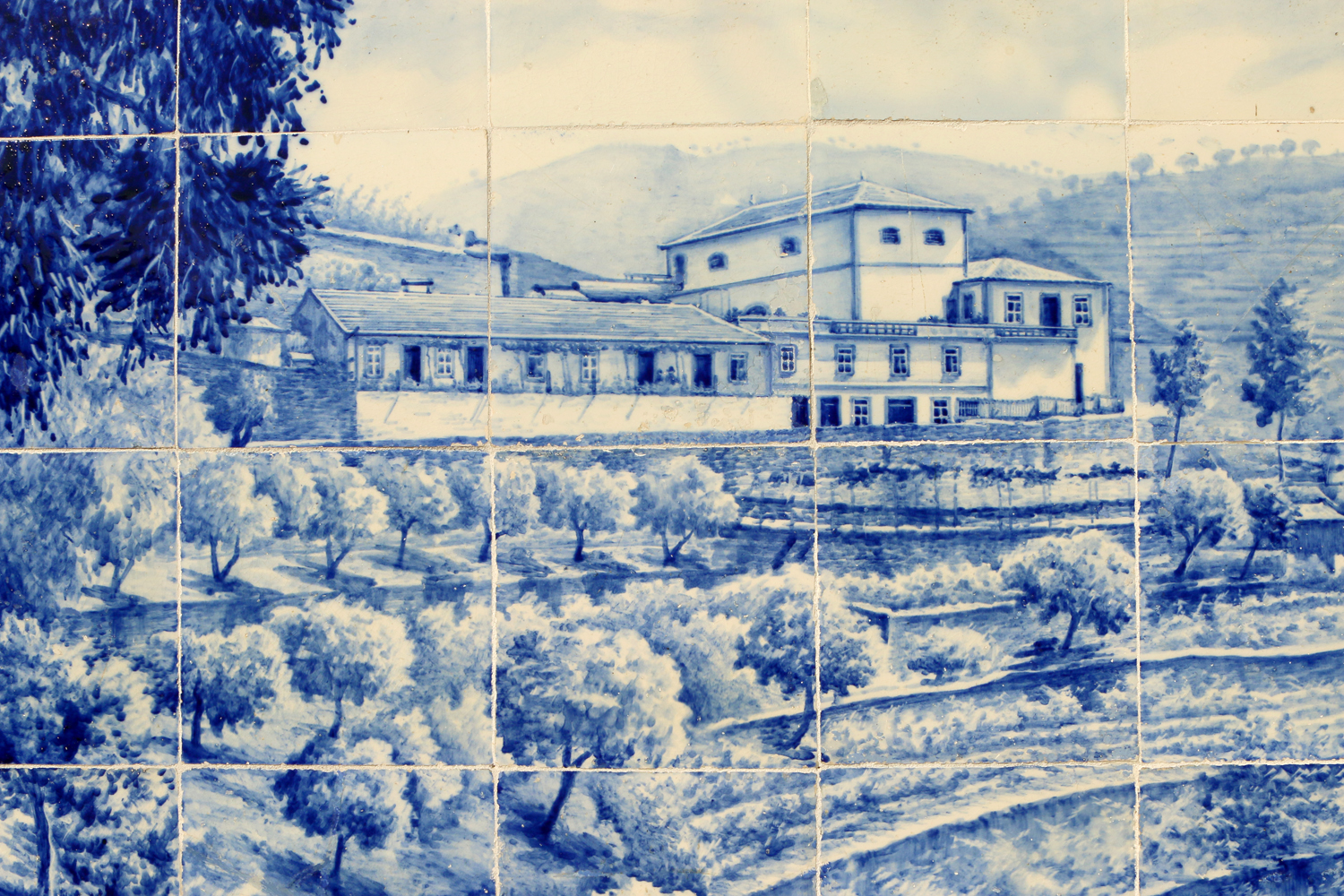 10 dolog Portóban, amitől szerelembe esel