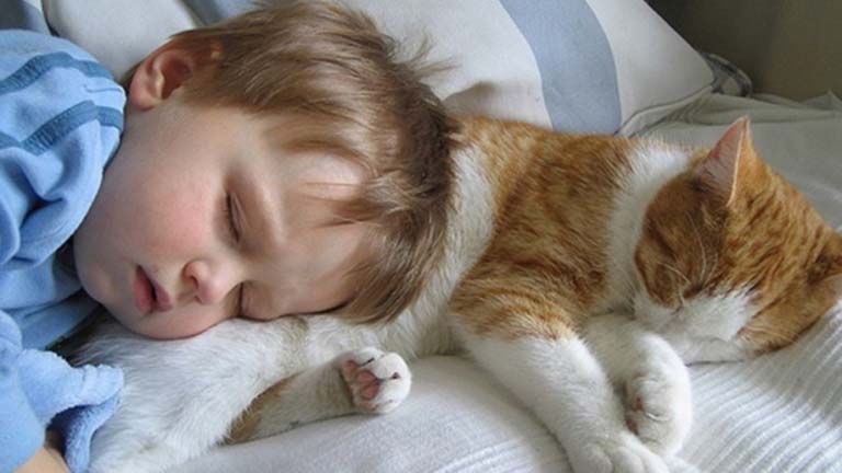 10 cuki fotó, ami bebizonyítja, hogy a gyerek mellé kell egy macska is