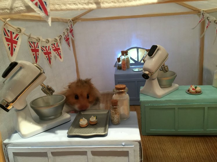 Parányi szobákat épít hörcsögeinek, hogy ne unatkozzanak az állatok