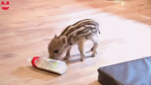 Kilőhet a tejtermékek ára