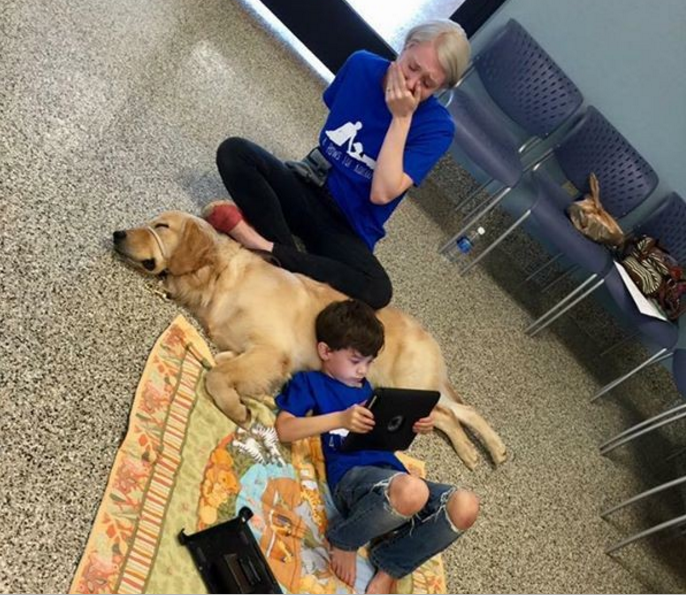 Kép forrása: Facebook