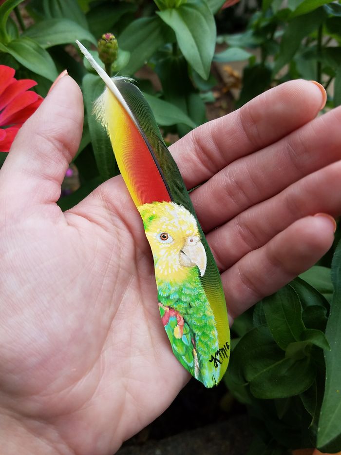 Madártollakra készít elképesztő műalkotásokat - fotók Madártollakra készít elképesztő műalkotásokat - fotók