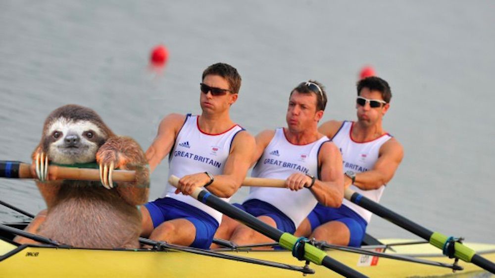 Napi cuki: Photoshop-háborút robbantott ki a lajhár