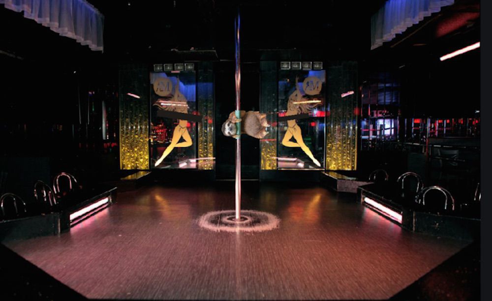 Napi cuki: Photoshop-háborút robbantott ki a lajhár