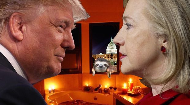 Napi cuki: Photoshop-háborút robbantott ki a lajhár