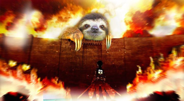 Napi cuki: Photoshop-háborút robbantott ki a lajhár