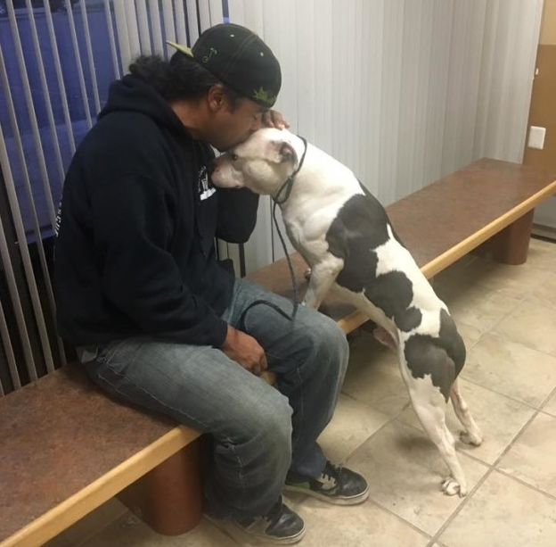 Egy hónapig várt gazdáira régi házuk előtt a hűséges kutya 