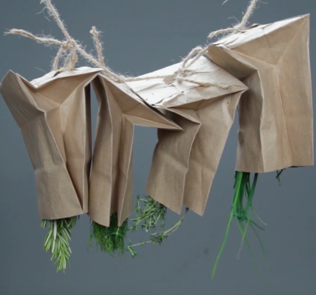 Így őrizd meg a maradék fűszernövényeket - szuper tippek