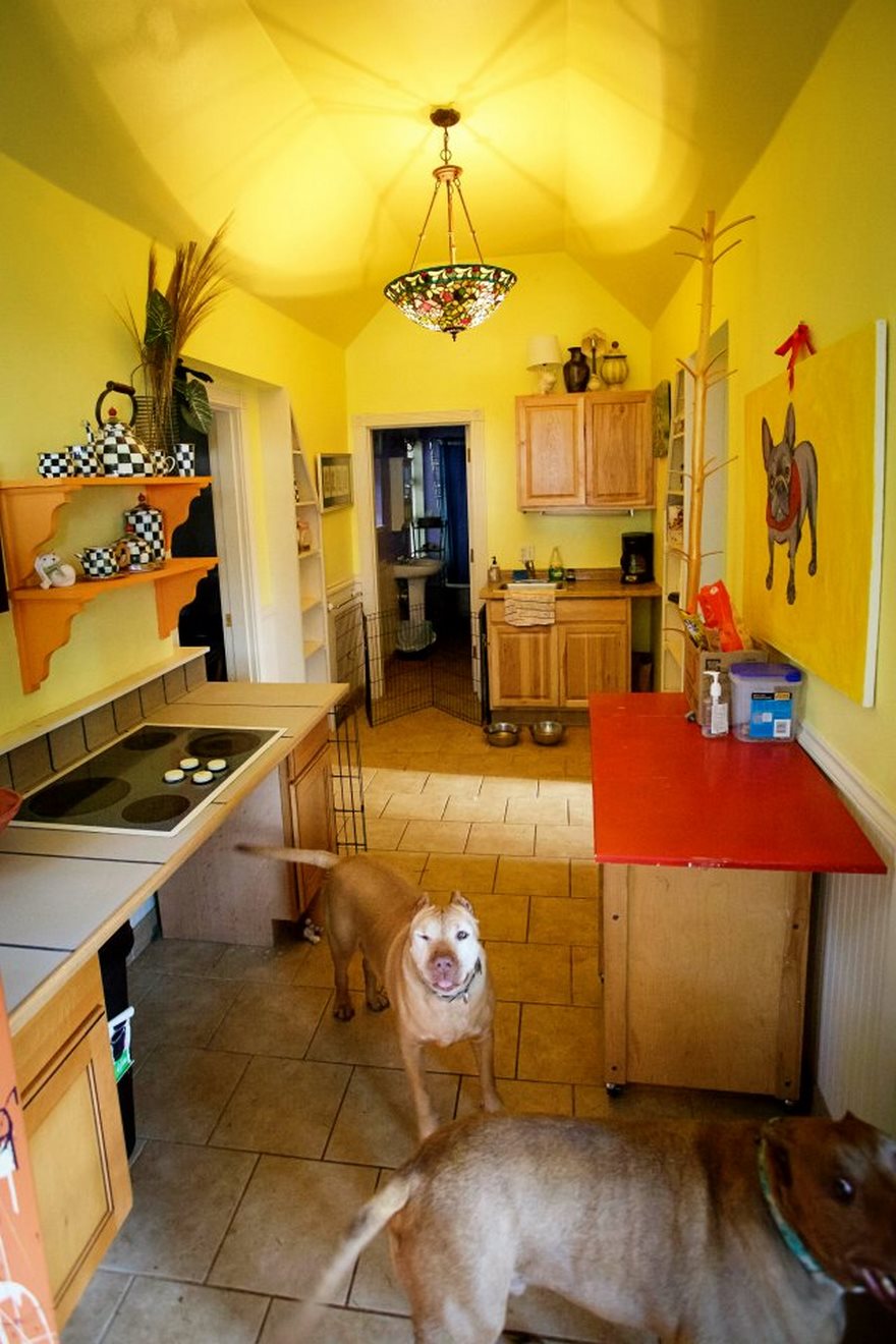 Külön kunyhókat építenek a kutyáknak, mert nem ketrecben van a helyük Külön kunyhókat építenek a kutyáknak, mert nem ketrecben van a helyük