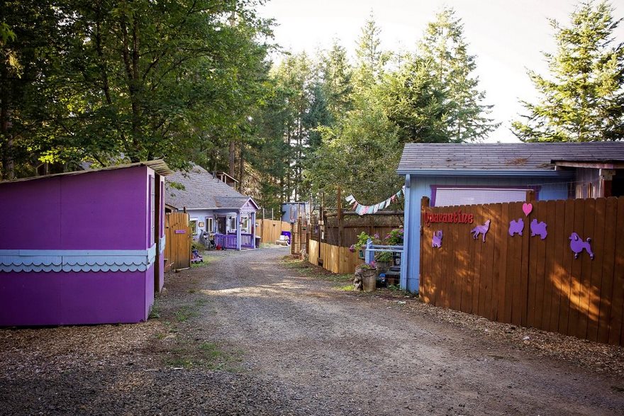 Külön kunyhókat építenek a kutyáknak, mert nem ketrecben van a helyük