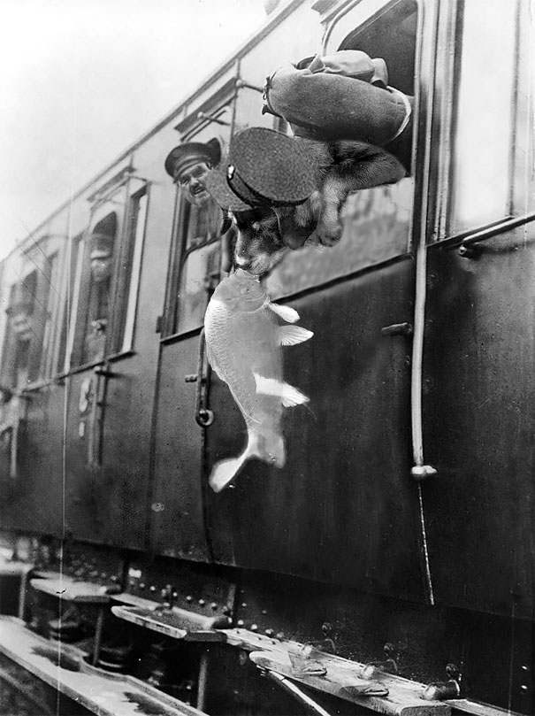 Őrületes Photoshop-parádé kerekedett a halat csókoló kutya körül